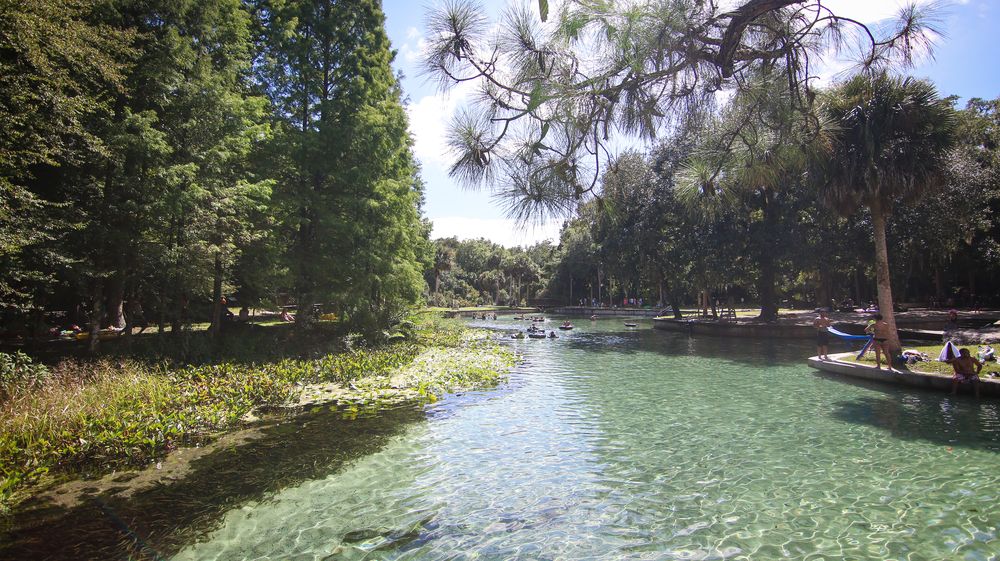 Waters and trees at Kelly Park.