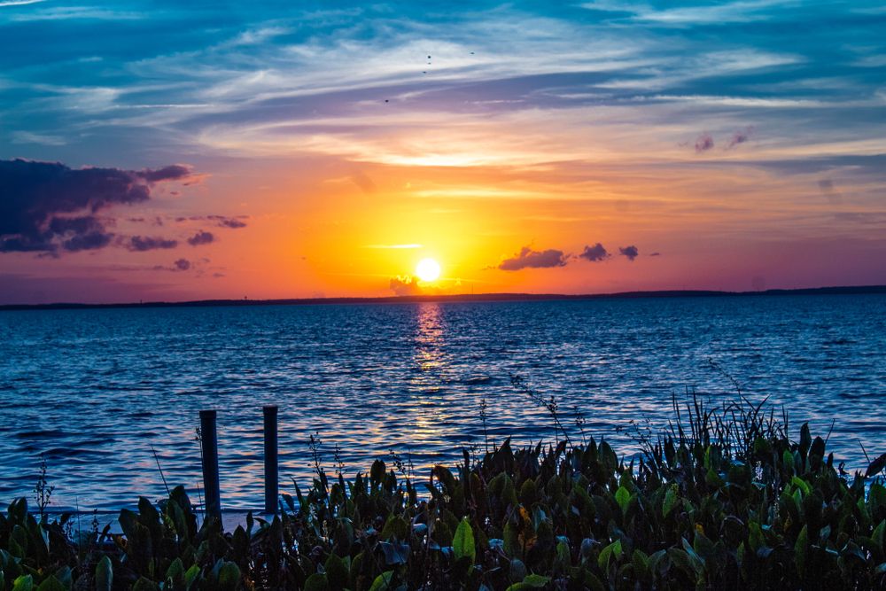 Sunset reflecting on Lake apopka.