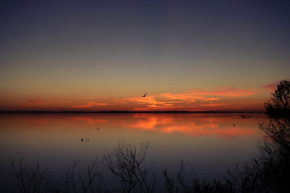 Sunset at Lake apopka.