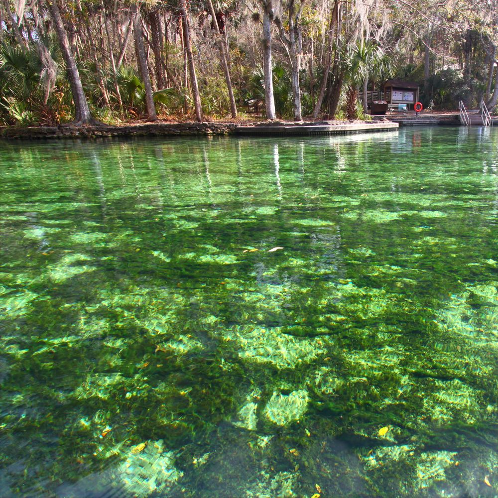 Clear waters at Wekiwa Springs State Park.