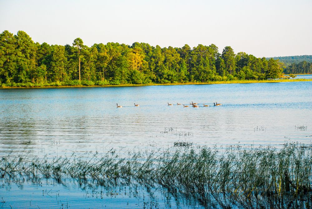 The waters of DeGray Resort Lake State Park