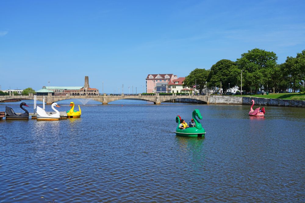 Swan-shaped pedal boats on Wesley Lake