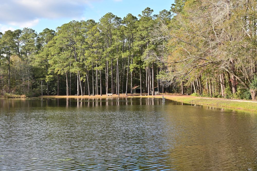 The waters of Aiken State Park