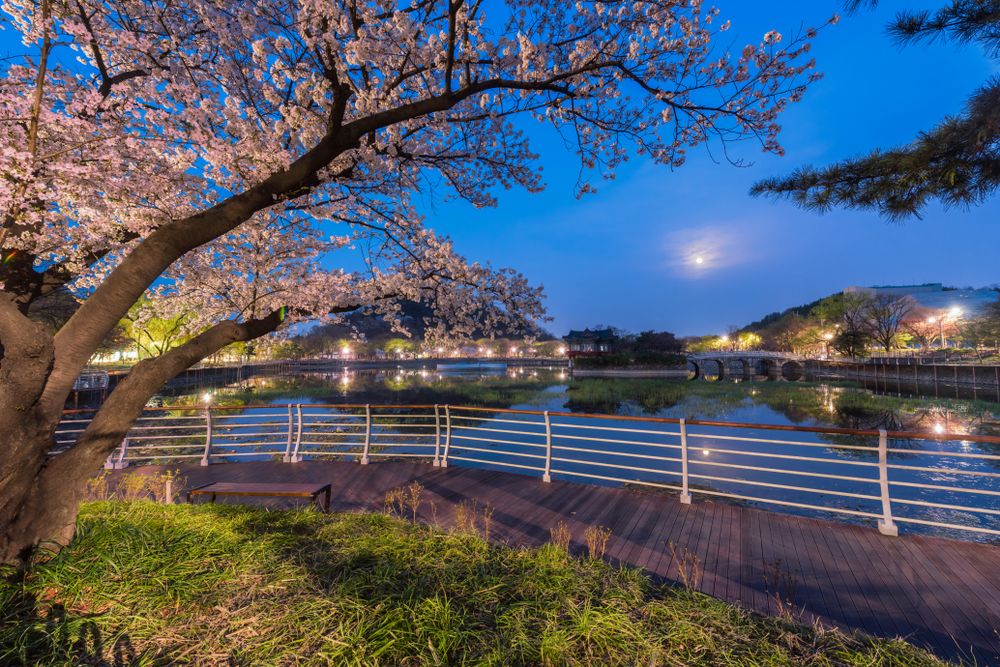 Duryu Park at Seongdangmot Pond