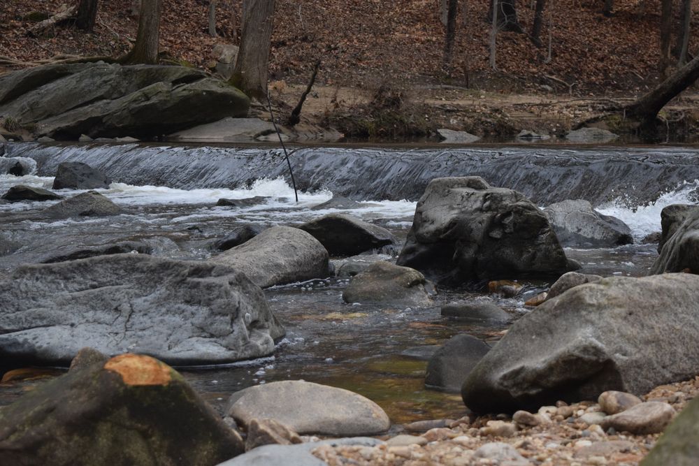 A stream at Dora Kelley Nature Park