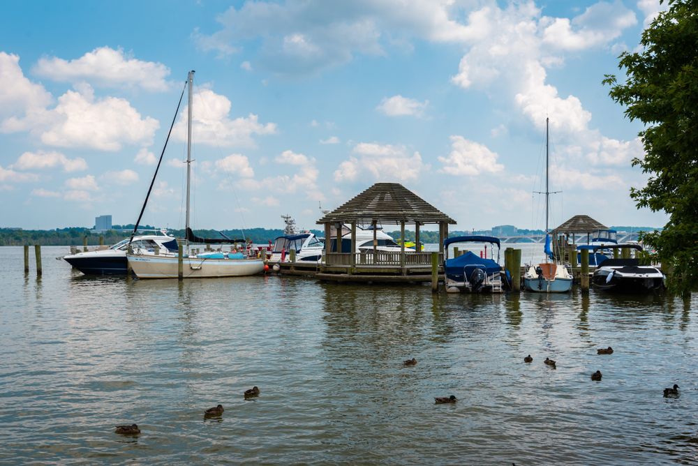 Boats docked at Founders Park
