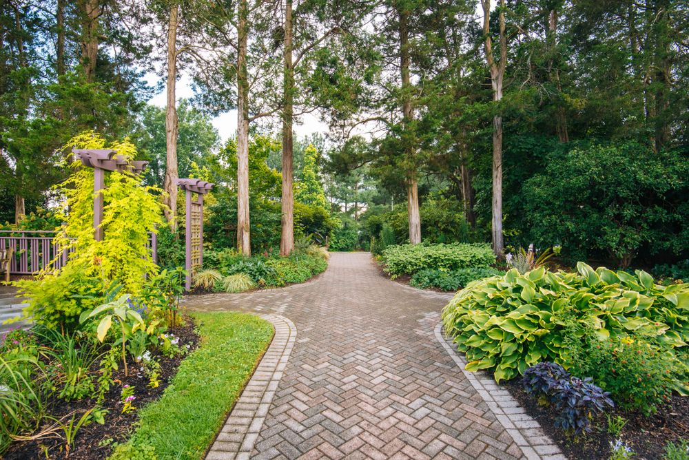 Trail at Green Spring Gardens