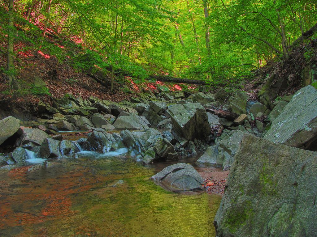 The waters of Gulf Branch Nature Center and Park