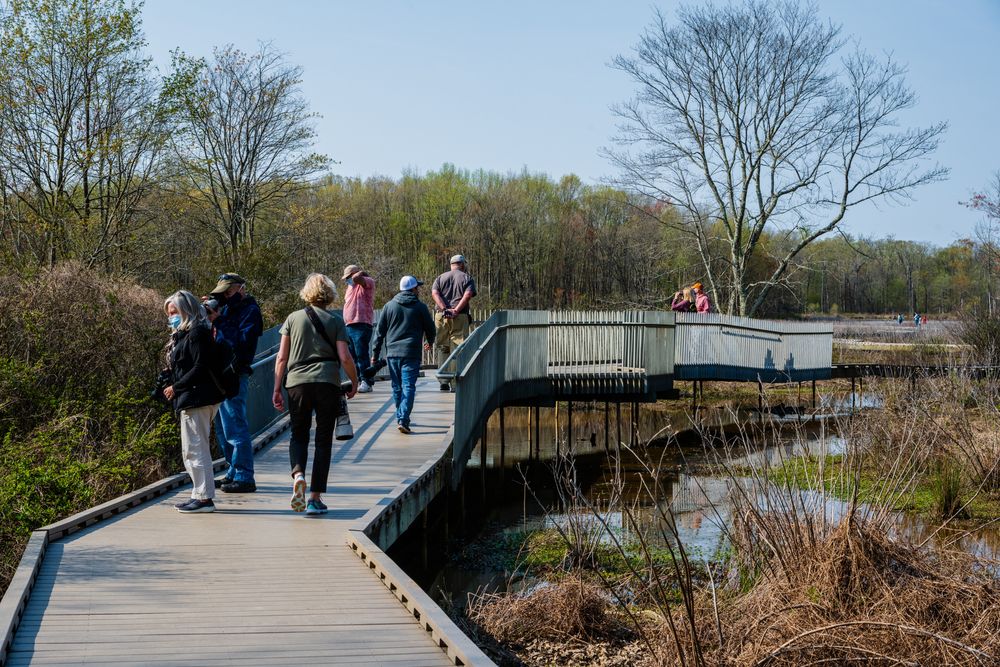 People along Huntley Meadows Park's boardwalk