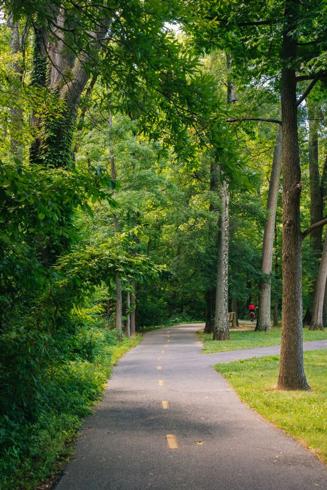 Mount Vernon Trail lined with trees