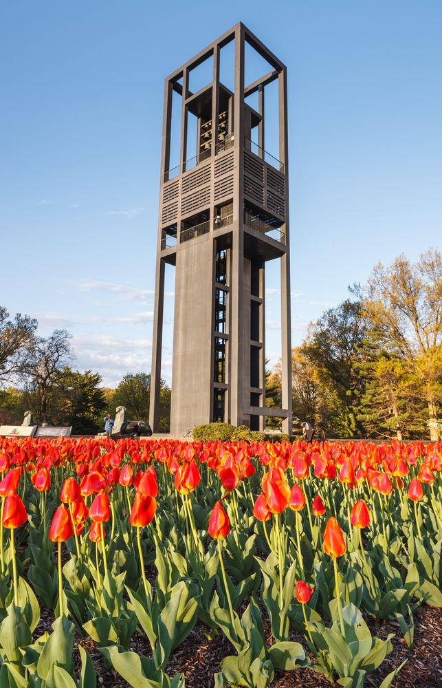 Daytime view of Netherlands Carillon