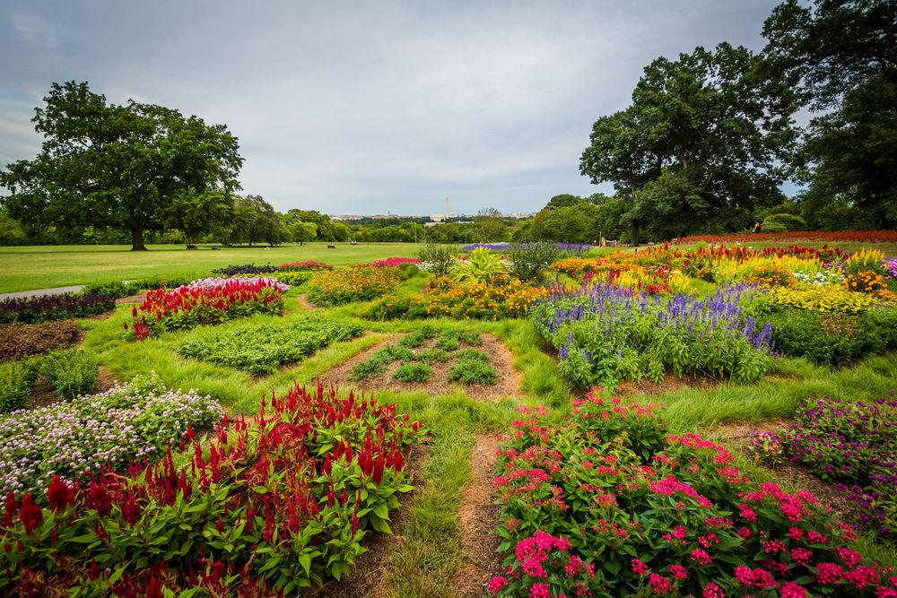 The garden of Netherlands Carillon