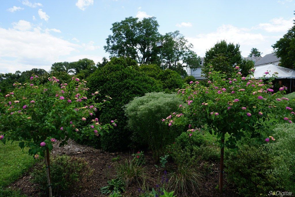 Plants at River Farm