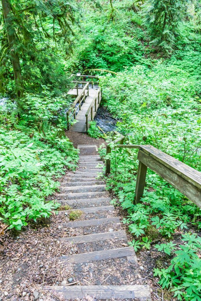Trail at Flaming Geyser State Park