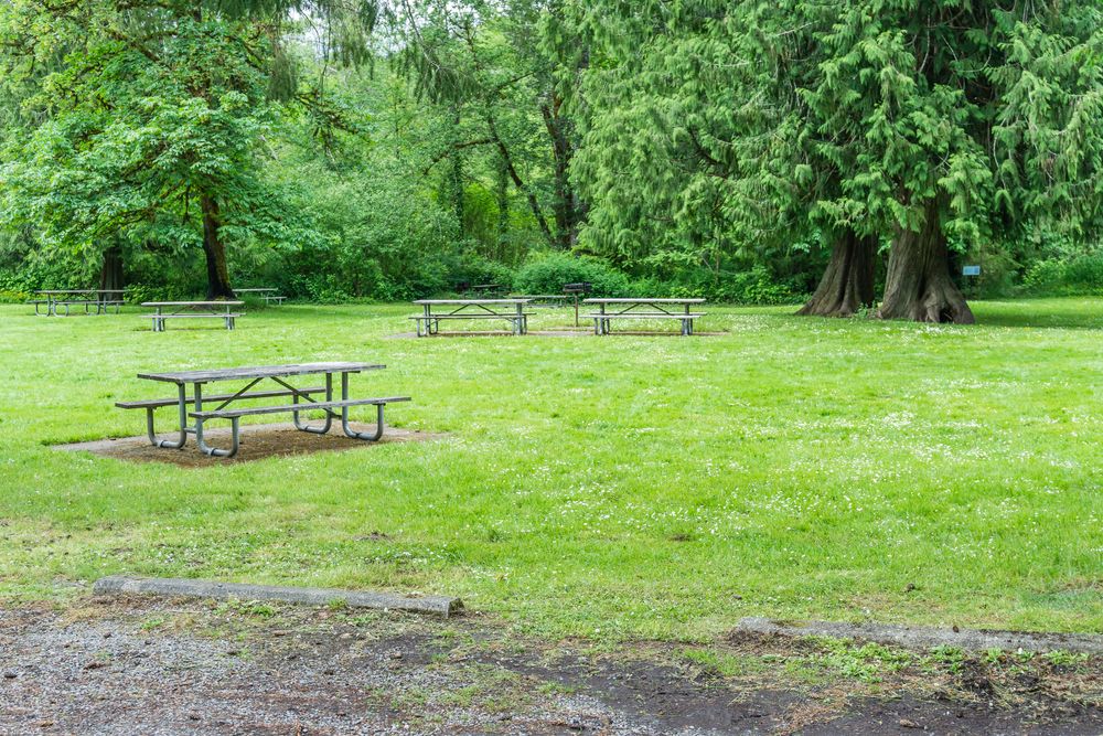 Picnic tables along Flaming Geyser State Park