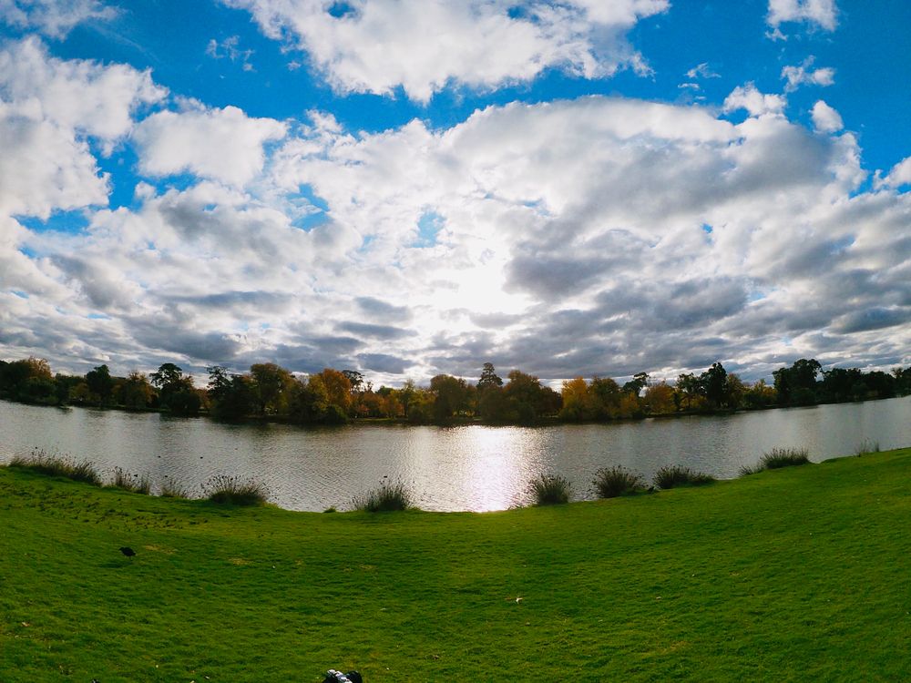 The waters of Lake Weeroona