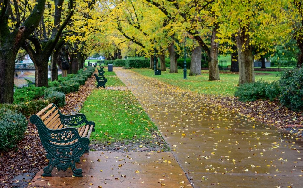 Benches along a trail at Rosalind Park