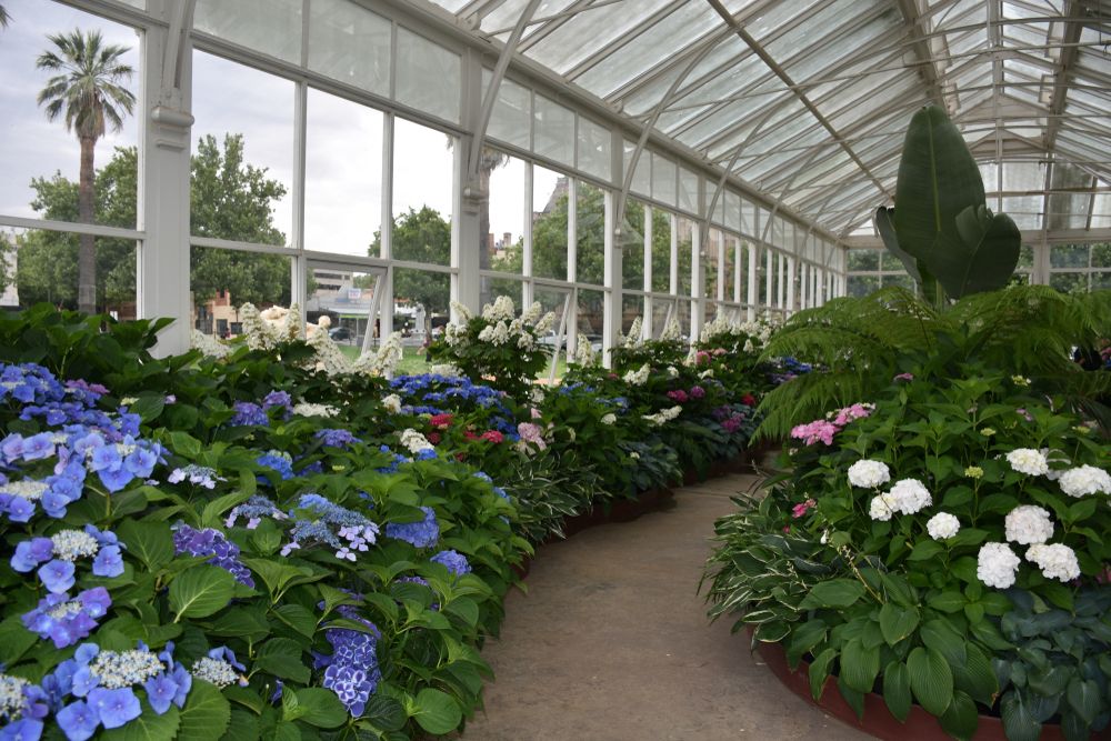 Interior of Rosalind Park's conservatory