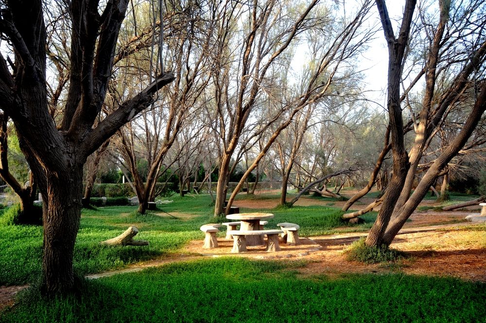 Picnic setting at Al Areen Wildlife Park & Reserve