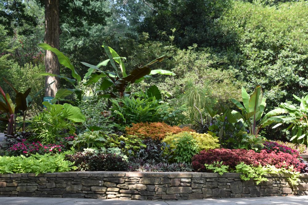 Flora at Birmingham Botanical Gardens