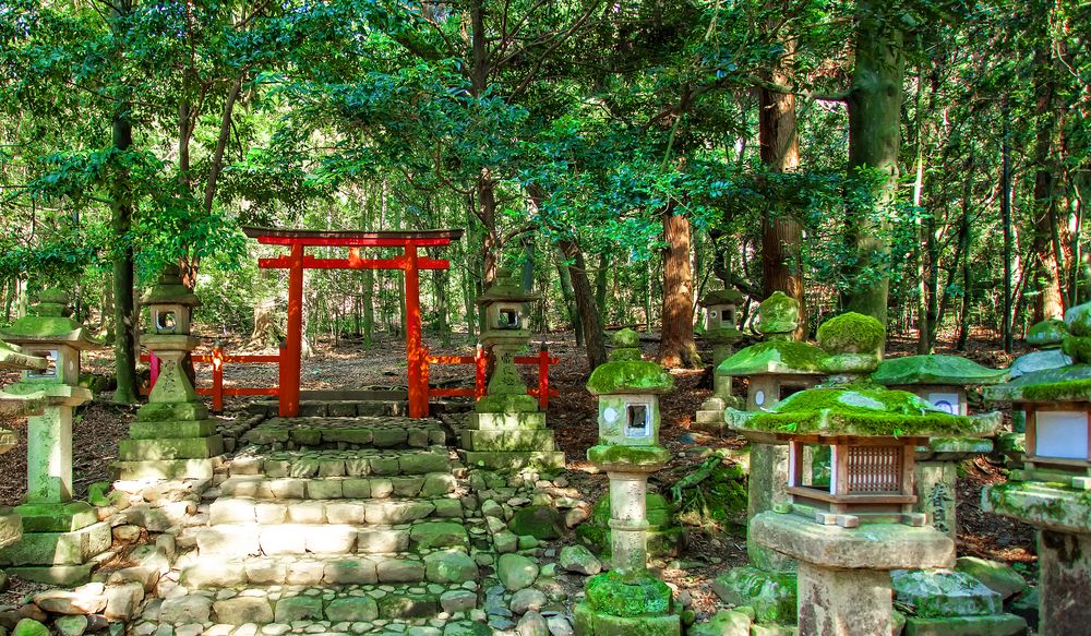 Kasugayama Primeval Forest