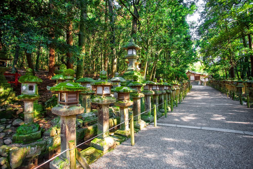 Lantern Stones in Kasugayama Primeval Forest