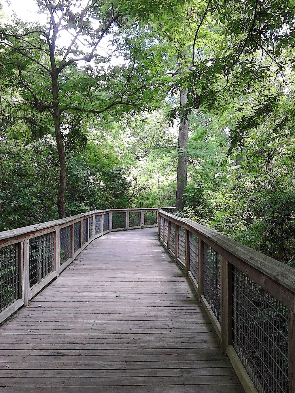 Bluebonnet Swamp Nature Center's boardwalk
