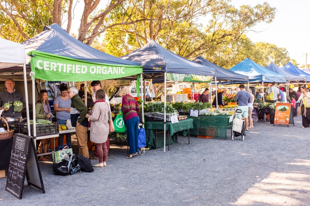 Vendors and shoppers at Byron Farmers Market