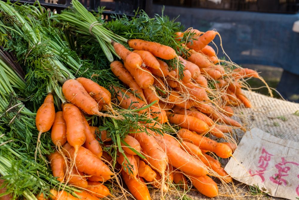 Fresh carrots at Byron Farmers Market