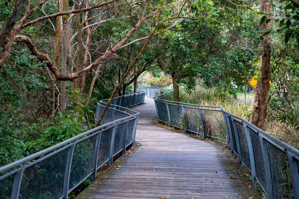 Railings of Cape Byron Walking Track