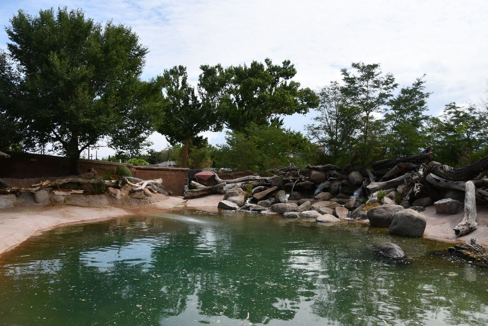 Waters at ABQ BioPark Zoo