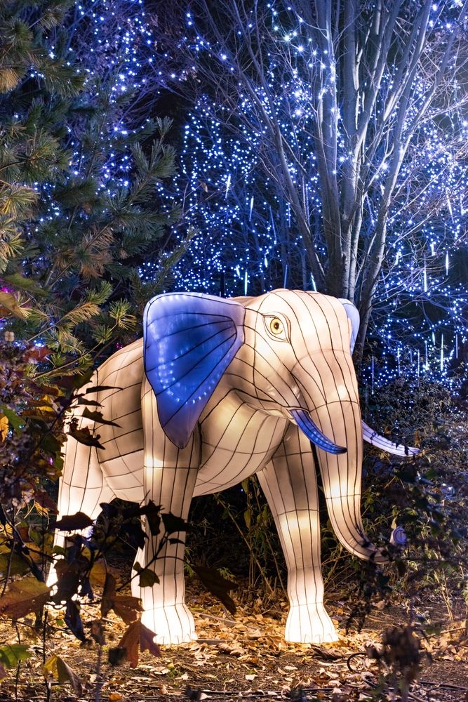 Elephant-shaped lantern in the Cincinnati Zoo & Botanical Garden