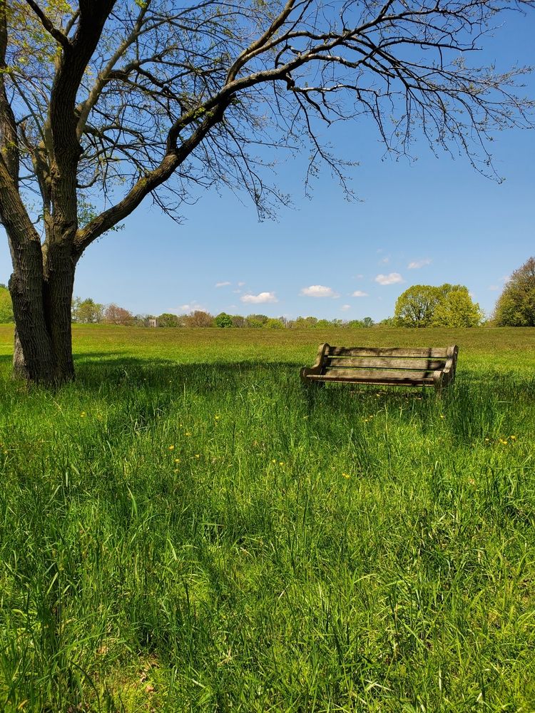 A lone bench at Core Creek Park