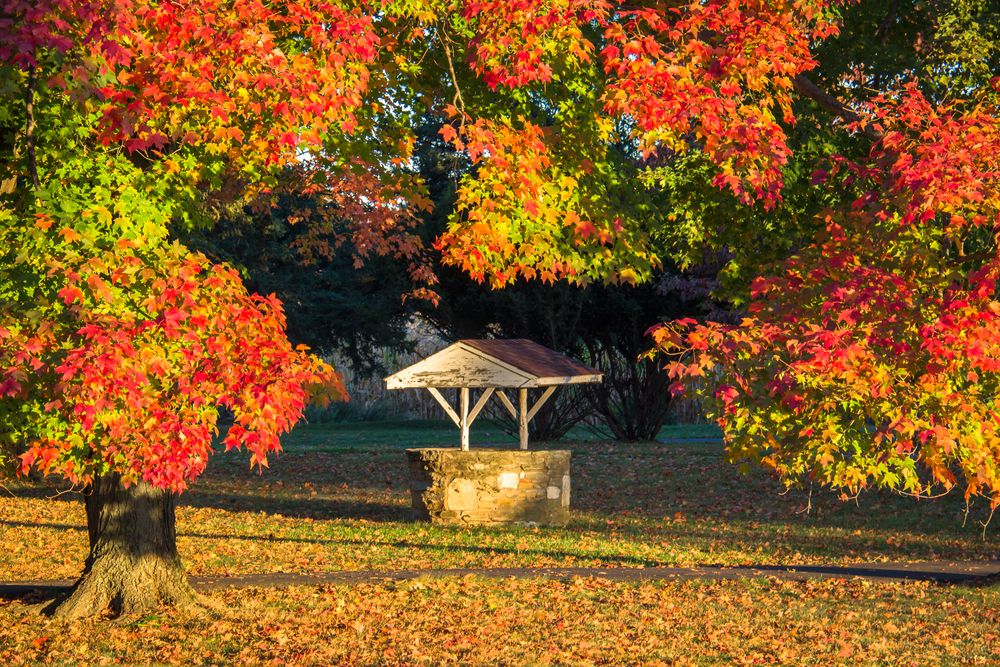 Fall scene at Core Creek Park