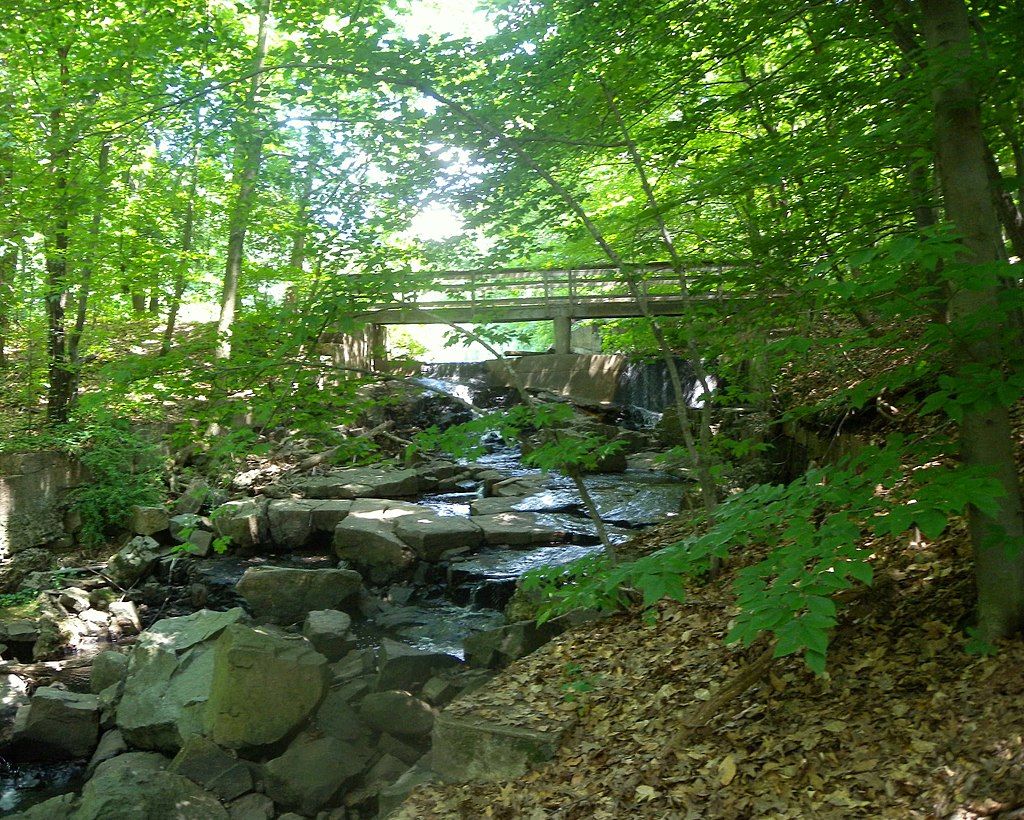 A stream at Flat Rock Brook Nature Center