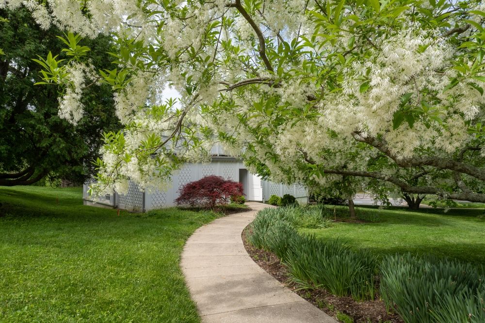 Trail at Hampton National Historic Site