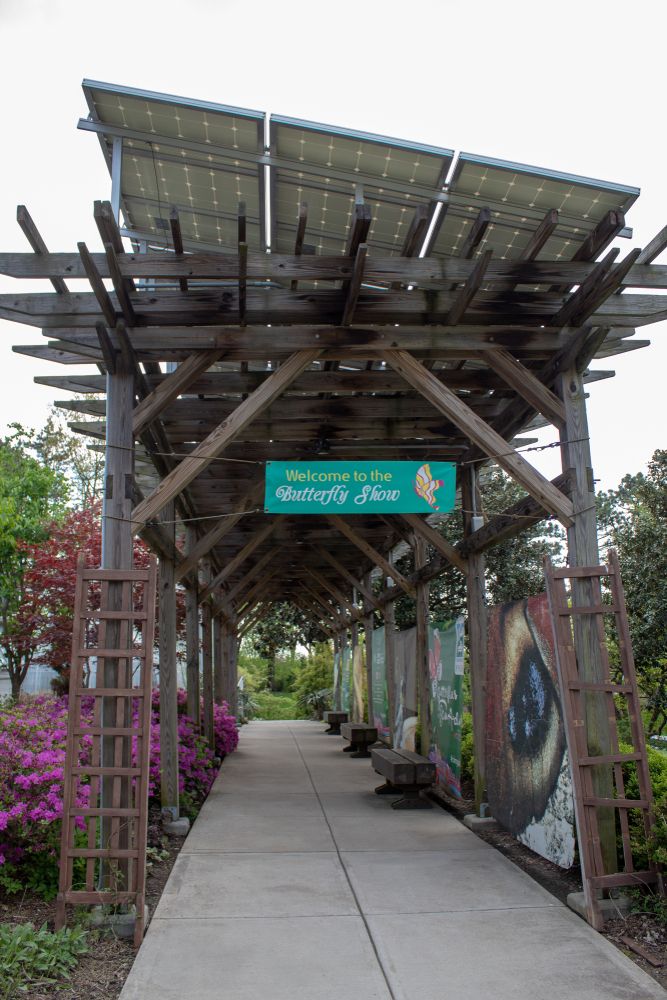 Pathway to the butterfly show at Irwin M. Krohn Conservatory