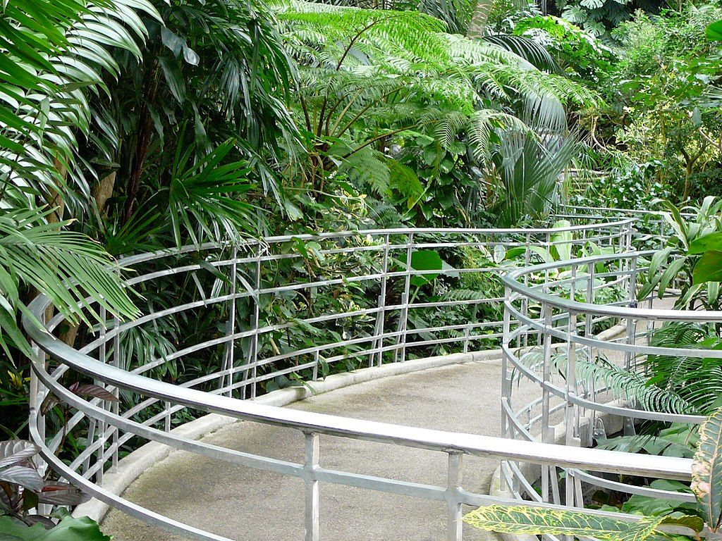 Trail at Irwin M. Krohn Conservatory