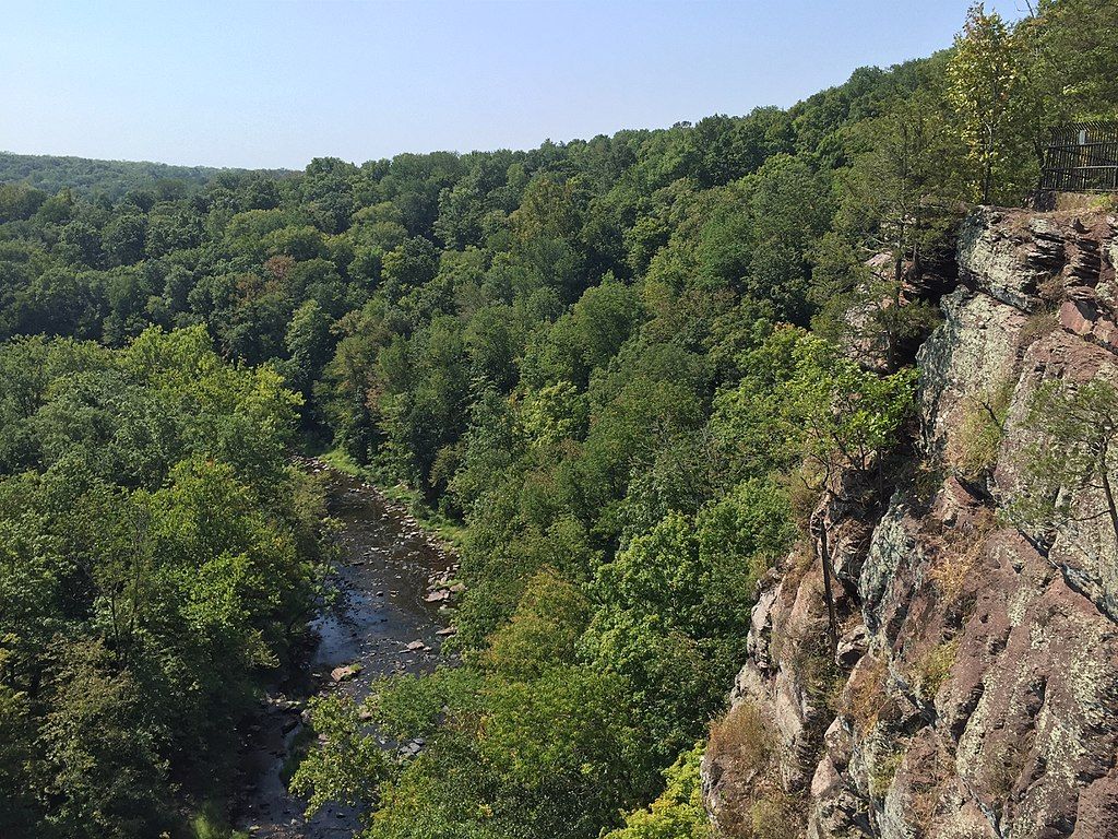 View of Ralph Stover State Park's lush greenery from an overlook
