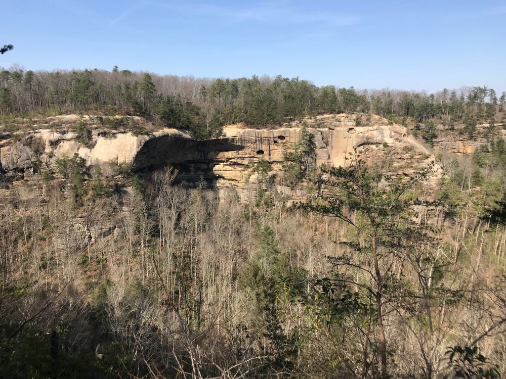 Cliffs at Red River Gorge