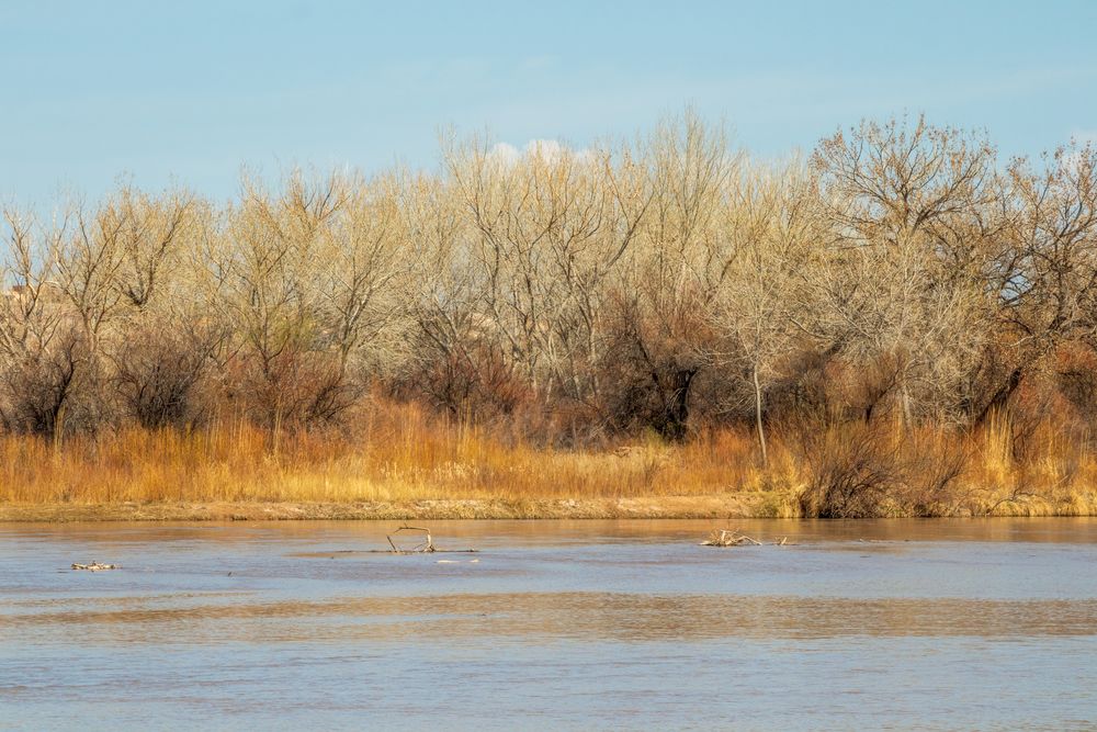The waters of Rio Grande Nature Center State Park