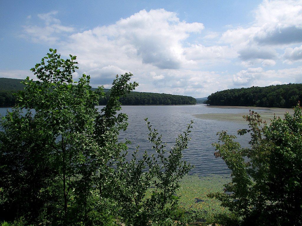 Lake at Sleepy Creek Wildlife Management