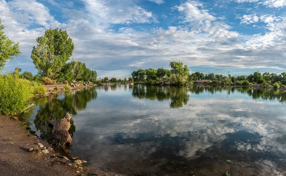 The waters of Tingley Beach
