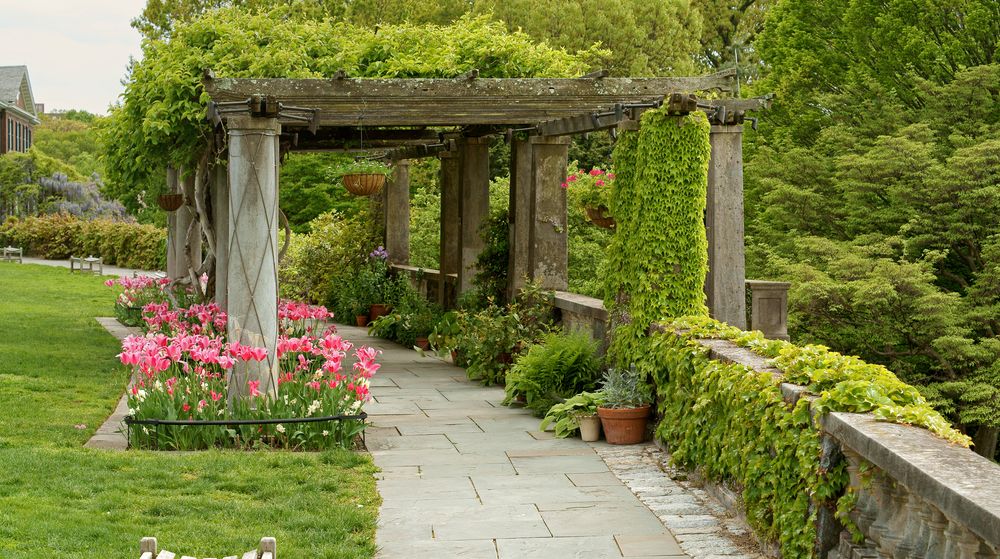 Pergola at the Wave Hill Public Garden & Cultural Center