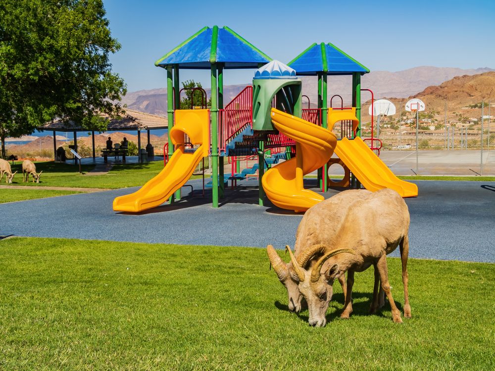Playground at Hemenway Park