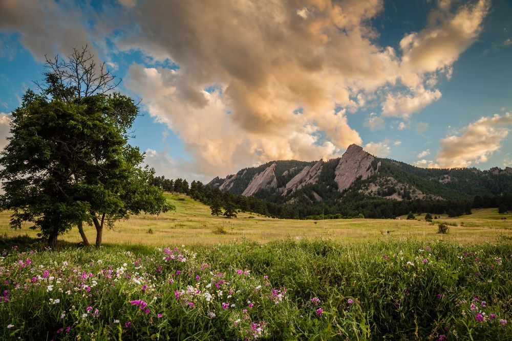 Scenic view of Chautauqua Park
