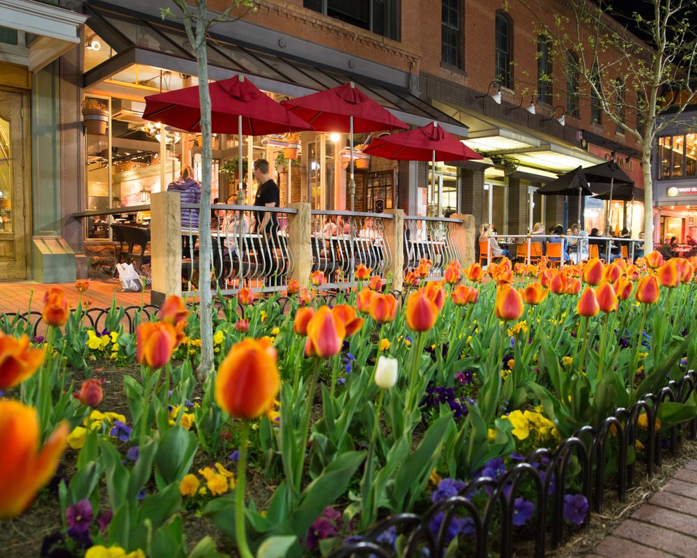 Shops at Pearl Street