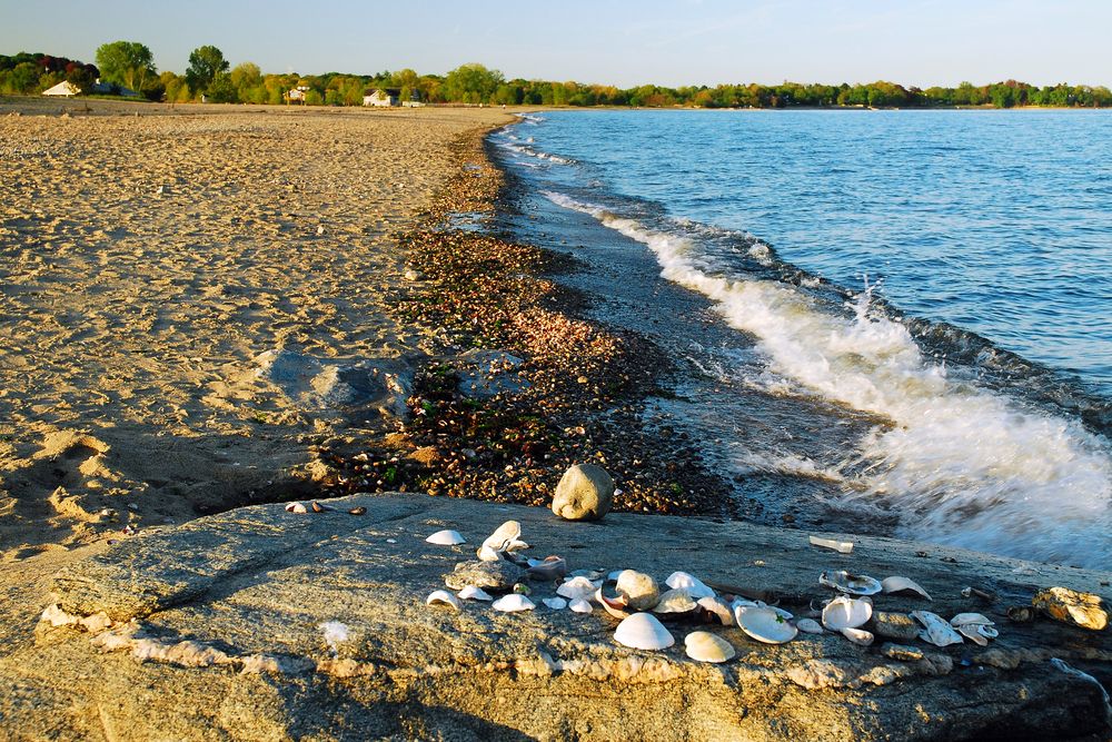 Shoreline of Sherwood Island State Park