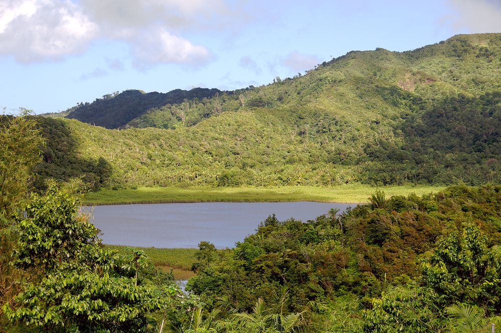 View of Grand Etang National Park