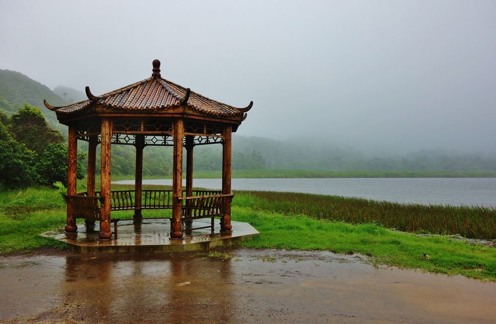 View of Grand Etang National Park